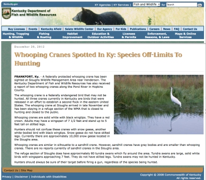 KDFWR press release_20 DEC 2012_Whooping Cranes Spotted in KY Species off limits to Hunting